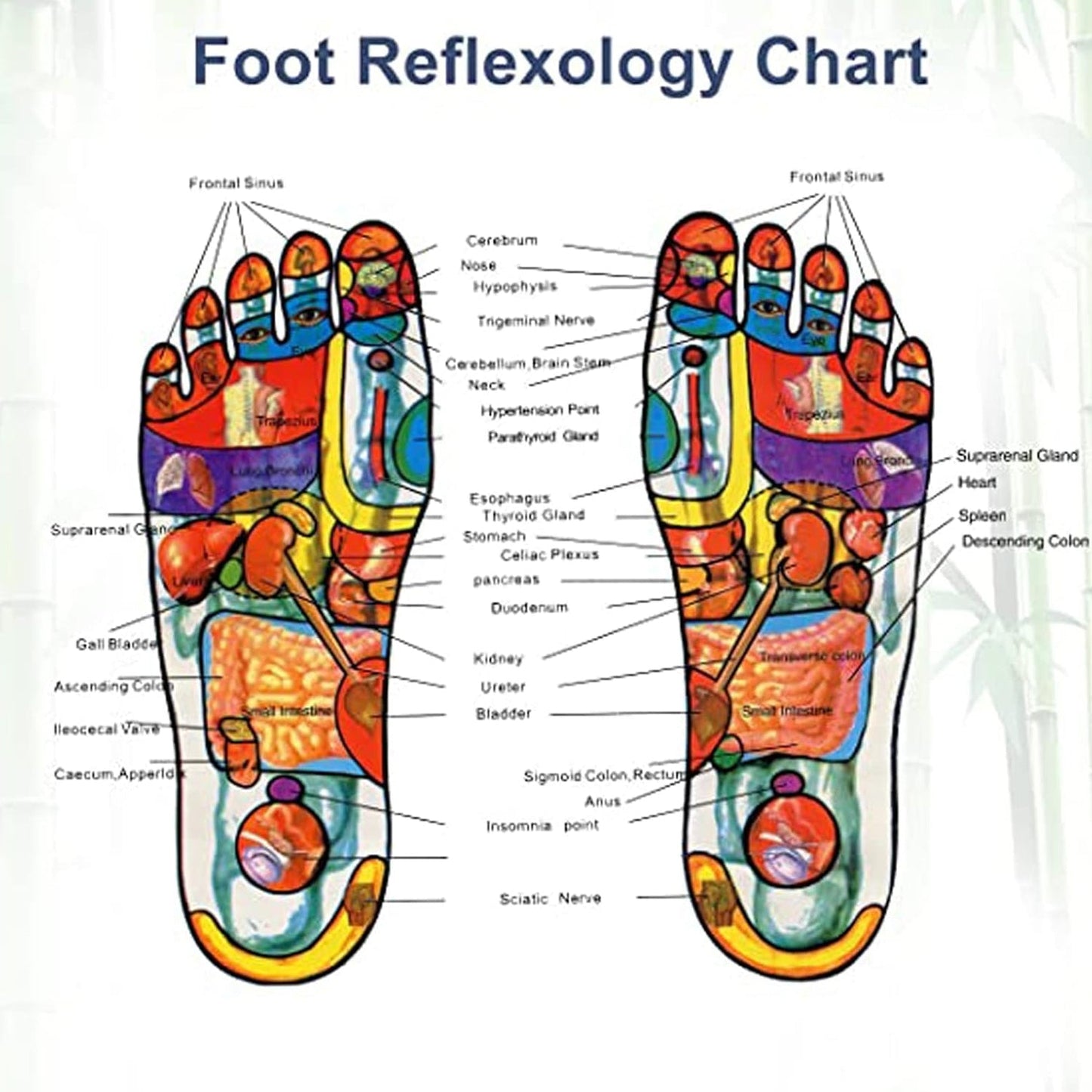 Kinoki Cleansing Detox Foot Pads Ginger Salt Foot Patch -20pcs (Free Size White)